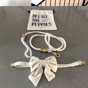 Foggy Dog Lady Bow Collar and Leash Set